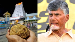 Tirupati Laddu Chandrababu Naidu3 1726715527